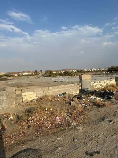 أرض 6940.37 متر مربع جنوبية على شارع 29م القيم الأعلى، الطائف
