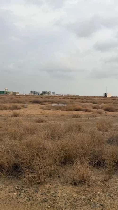 Land 500 SQM Facing North on 25m Width Street Al Nasriyah 6, Jazan