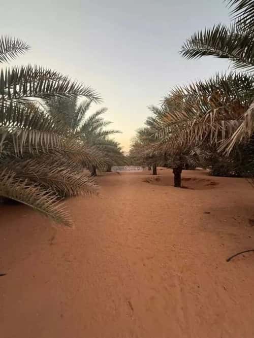 أرض 14832.31 متر مربع واجهة شرقية أم الشعال، جنوب الرياض، الرياض