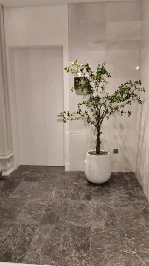 Apartment 135.52 SQM with 4 Bedrooms Al Safa, North Jeddah, Jeddah