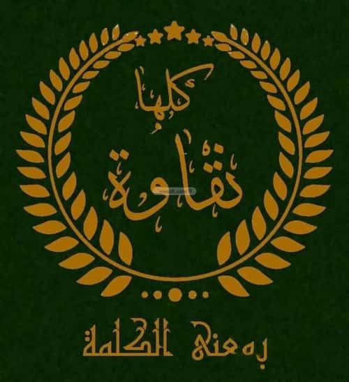 أرض 700 متر مربع شرقية على شارع 20م الزهور، أبها