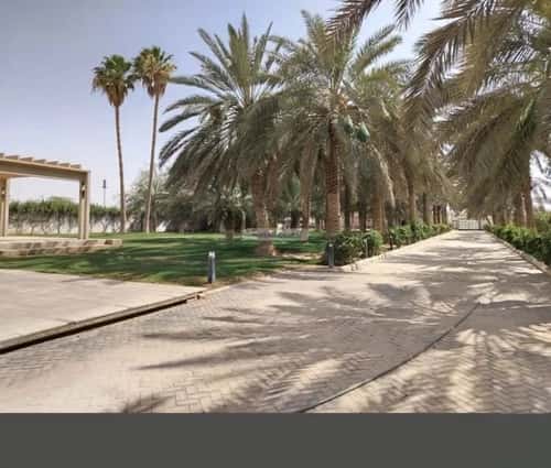 Rest House 7000 SQM Facing West on 15m Width Street Ar-Rimal, East Riyadh, Riyadh
