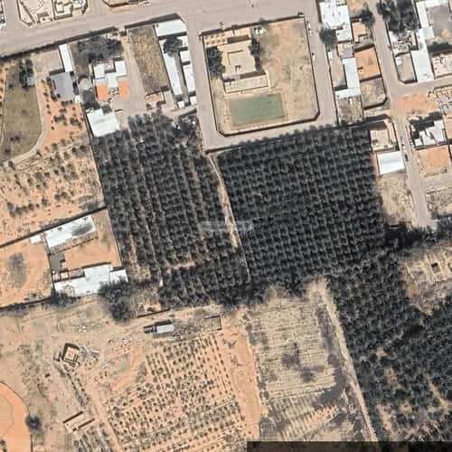 Land 420 SQM Facing East on 30m Width Street Al Wahlan, Eanizah