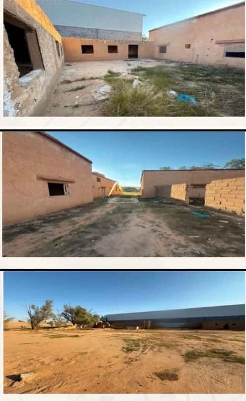 Land 3547.73 SQM Facing West on 24m Width Street Al Salam Al Gharbi, Bariduh