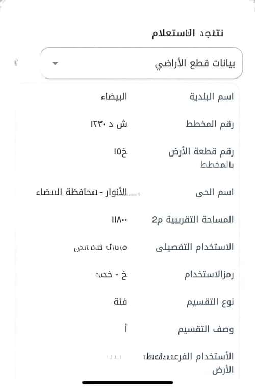 Land 11800 SQM The Lights, Aldammam