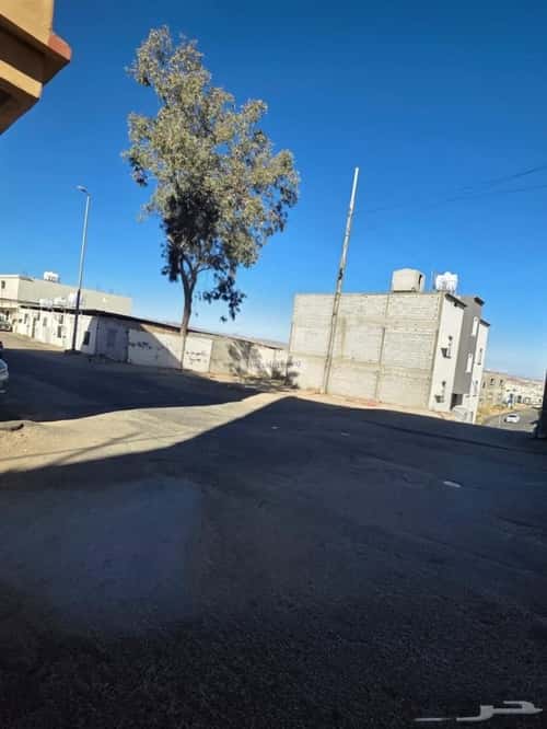 أرض 309.53 متر مربع نخب، الطائف
