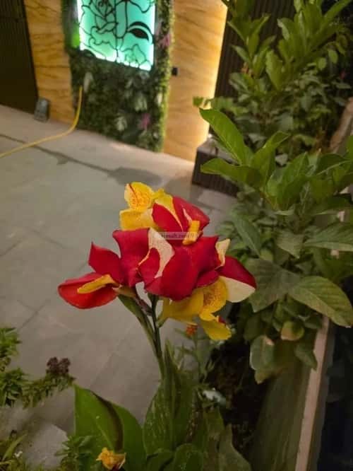 Villa 345 SQM Facing South with 8 Bedrooms Al-Olaya, Central Riyadh, Riyadh