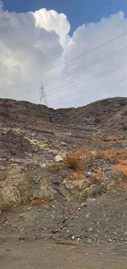 أرض 875 متر مربع جنوبية على شارع 20م وادي جليل، مكة المكرمة