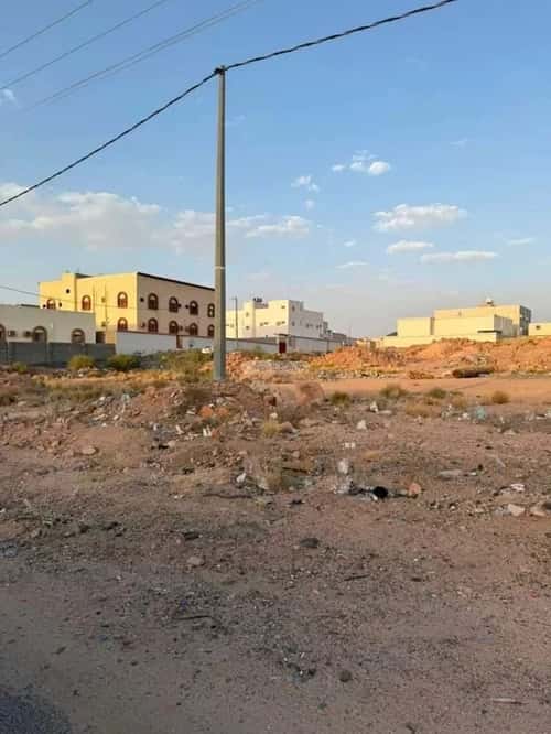 Land 6650 SQM Facing North East on 40m Width Street Rayyadh, Alttayif