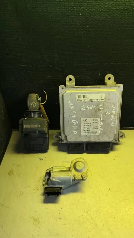 A6519000700 A9069004100 A0375456132 ECU for MB