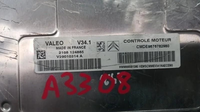 9666591380 Engine control unit/module ECU for Peugeot 207