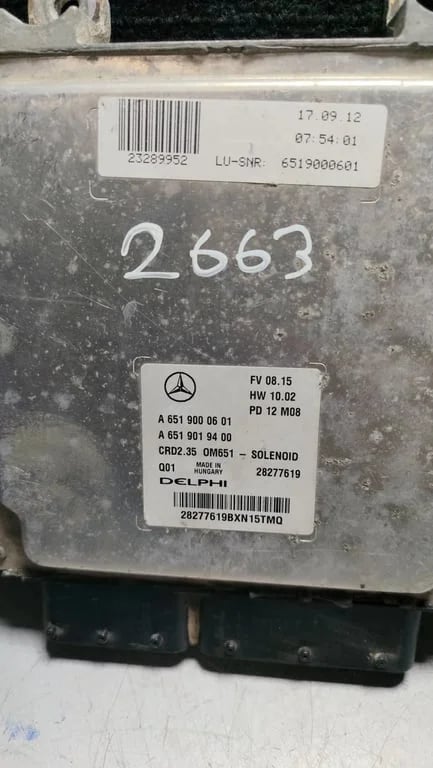 A6519000601 A6519019400 28277619 ECU for MB