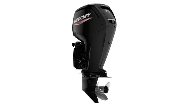 resized_1723118878-mercury-marine-75-elpt-four-stroke-006-detail-image-1610643811008.jpg