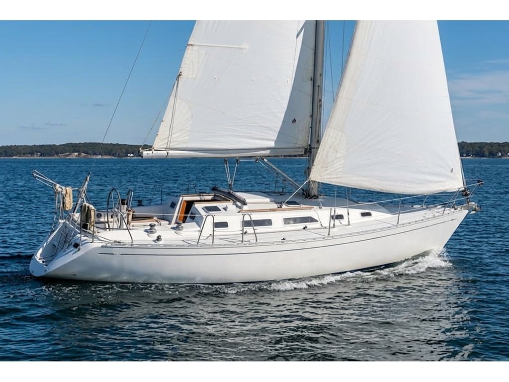 Moorings 39