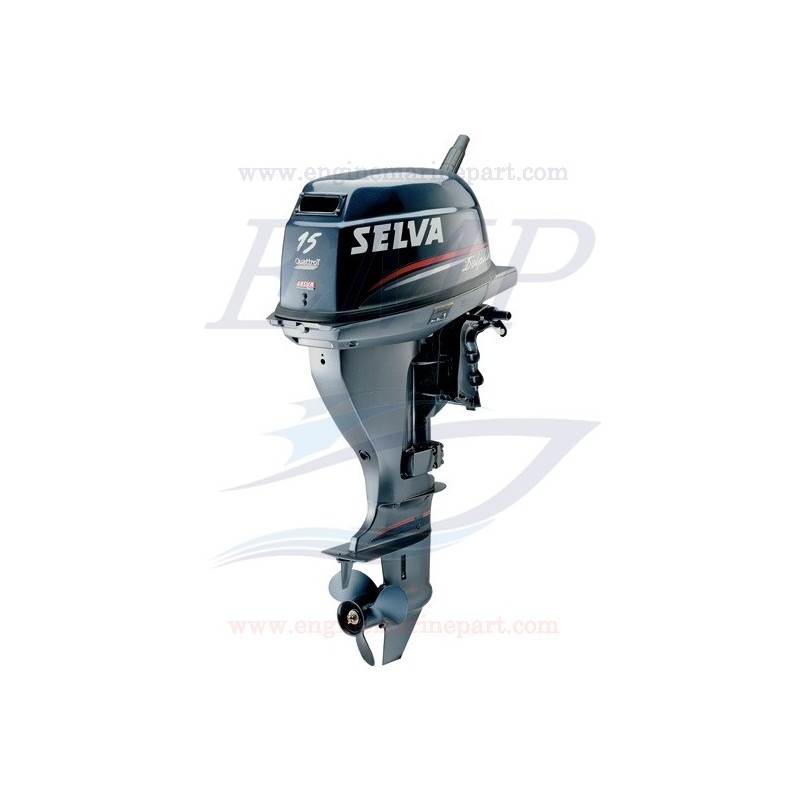 hp-99-15-dolphin-selva-yamaha.jpg