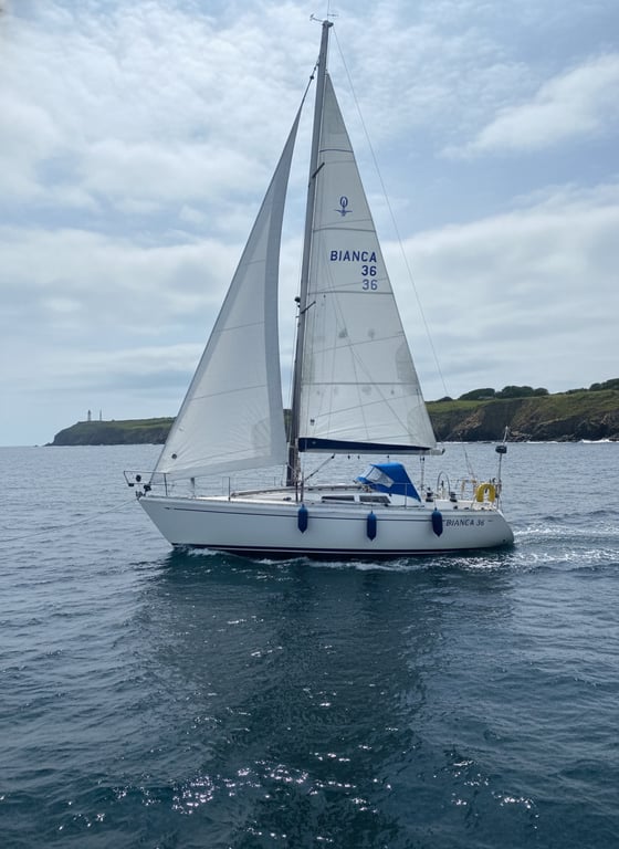 Bianca 36