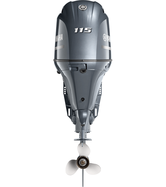 f115stern.png
