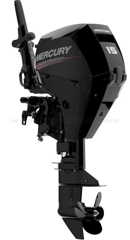 product_31564.jpg