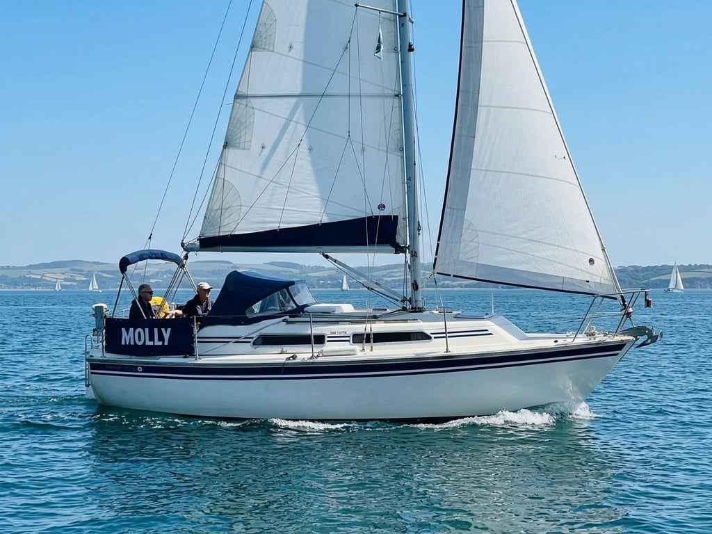 Merlin 29