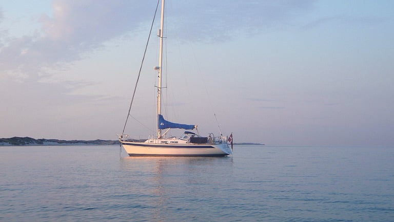 Hele Pakhusbugten for os selv