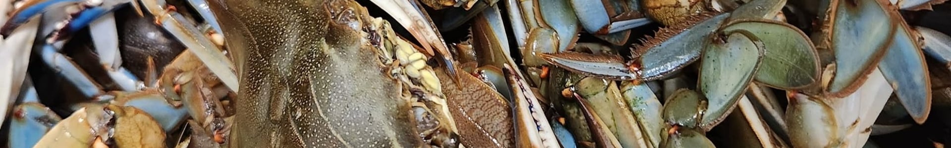 Stoney Farms Crabs Shop title image