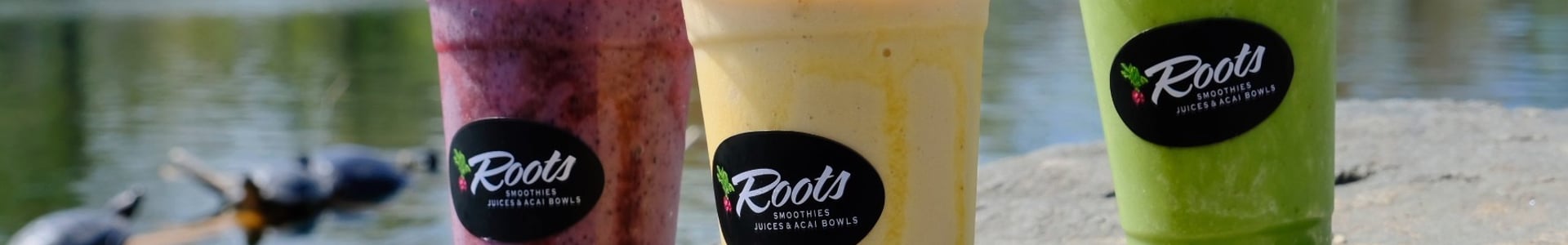 Roots Smoothie And Juice Bar restaurant photo