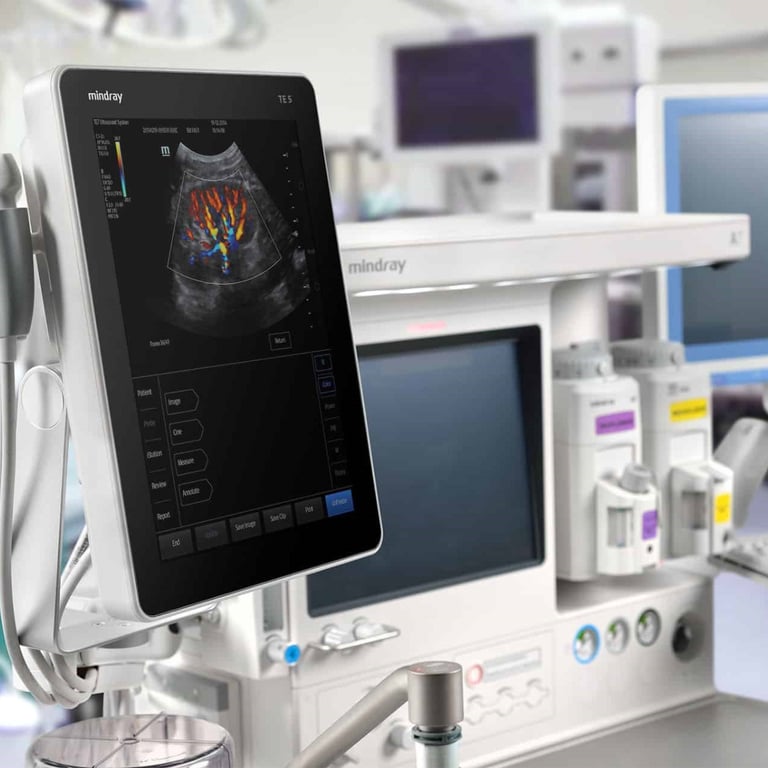 Mindray TE5 iNeedle Nadelvisualisierung bei Regionalanästhesie