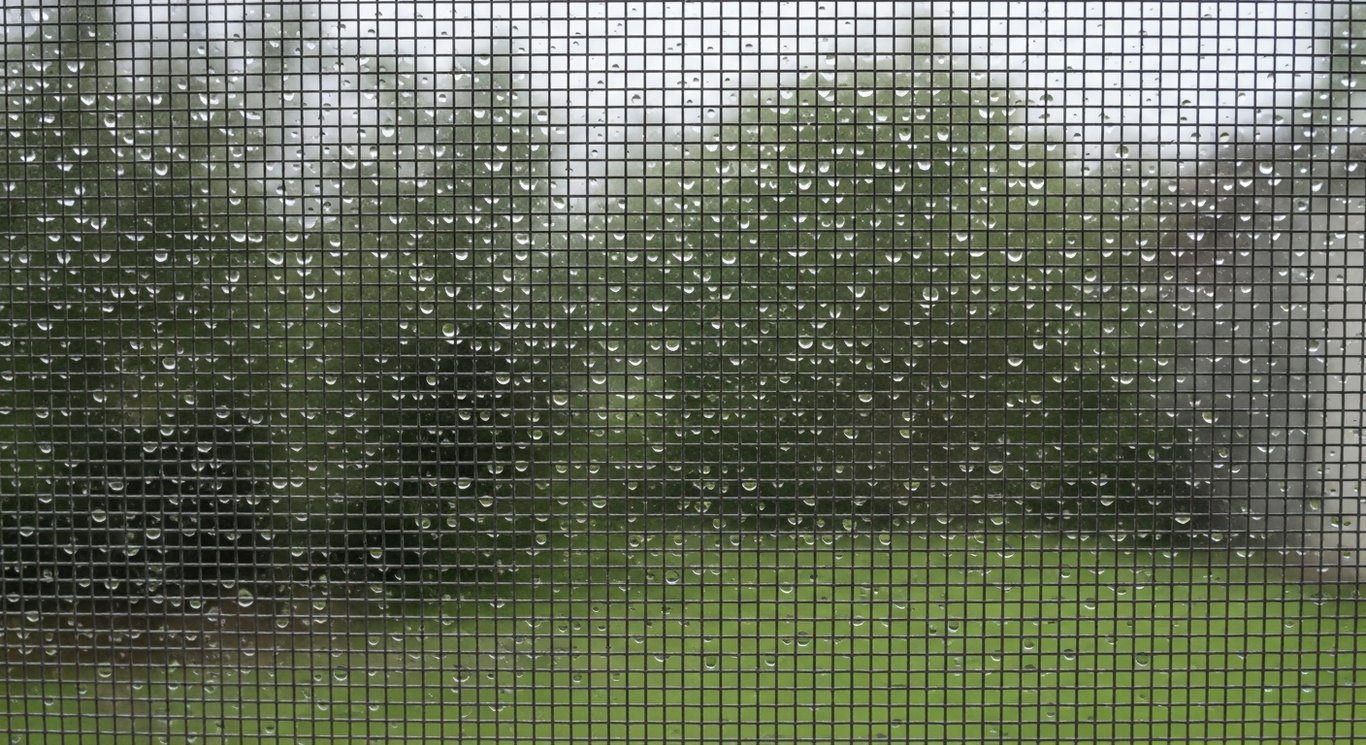 Stechmücken vorbeugen: Fliegengitter, Schutz und Garten