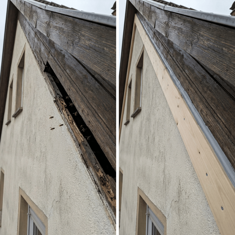 Dauerhafter Schutz vor Wespen-Neubefall an Fassade und Dachkasten in Dortmund