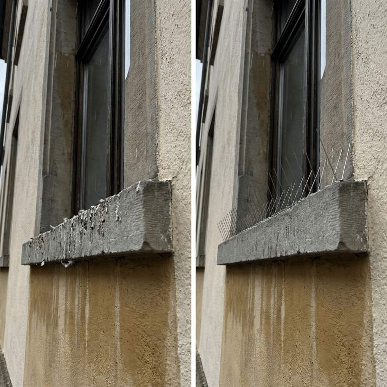 Präzise montierte Edelstahl-Spikes auf einem Fenstersims in Dortmund