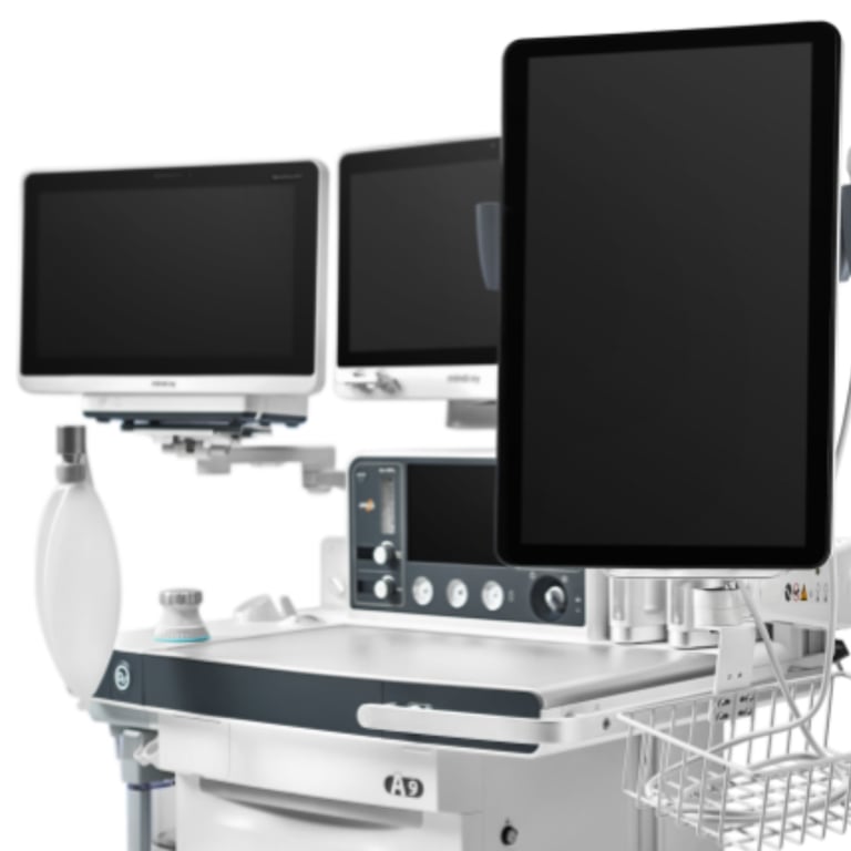 Mindray TE9 iNeedle Bildbeispiel