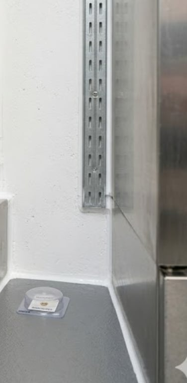 Silberfische in einer Dortmunder Gewerbeküche – nachher, in Dortmund