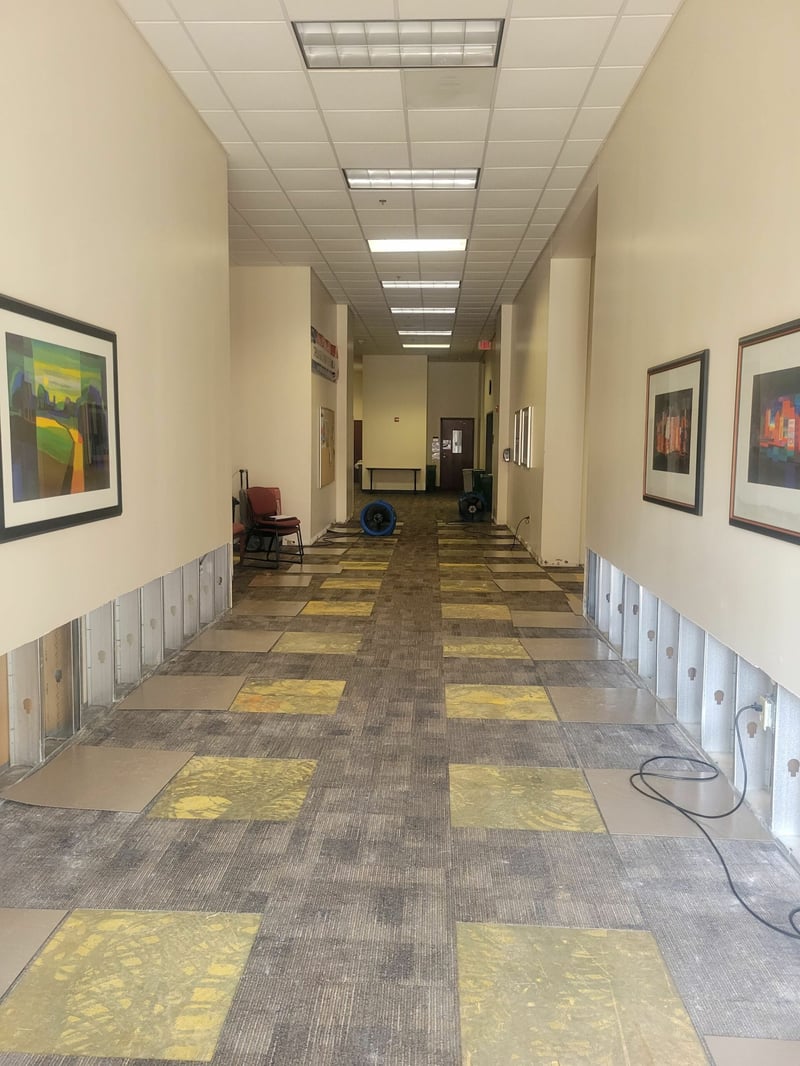 Mercer hallway