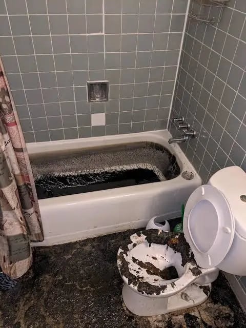 Insurance claim assistance for sewage water damage