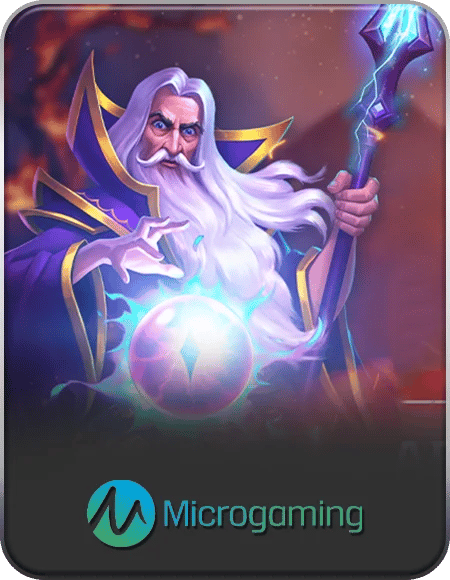 Micro Gaming (Slot)