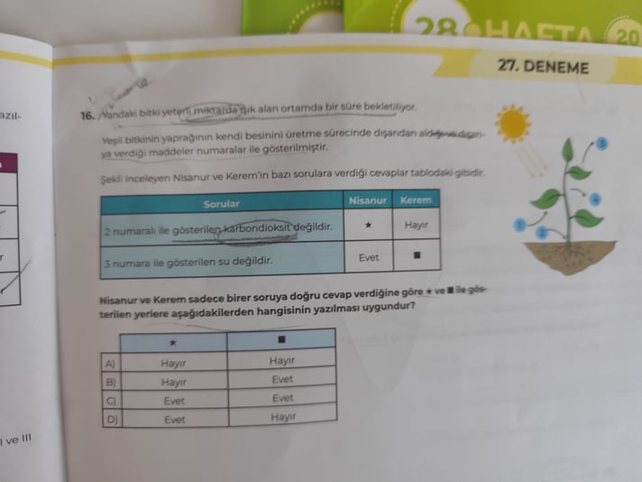 1000159193