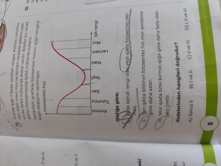 1000159192