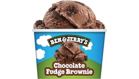 Ben & Jerry's Chocolate Fudge Brownie 100ml