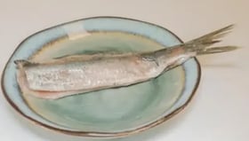 Hollandse nieuwe haring 4x