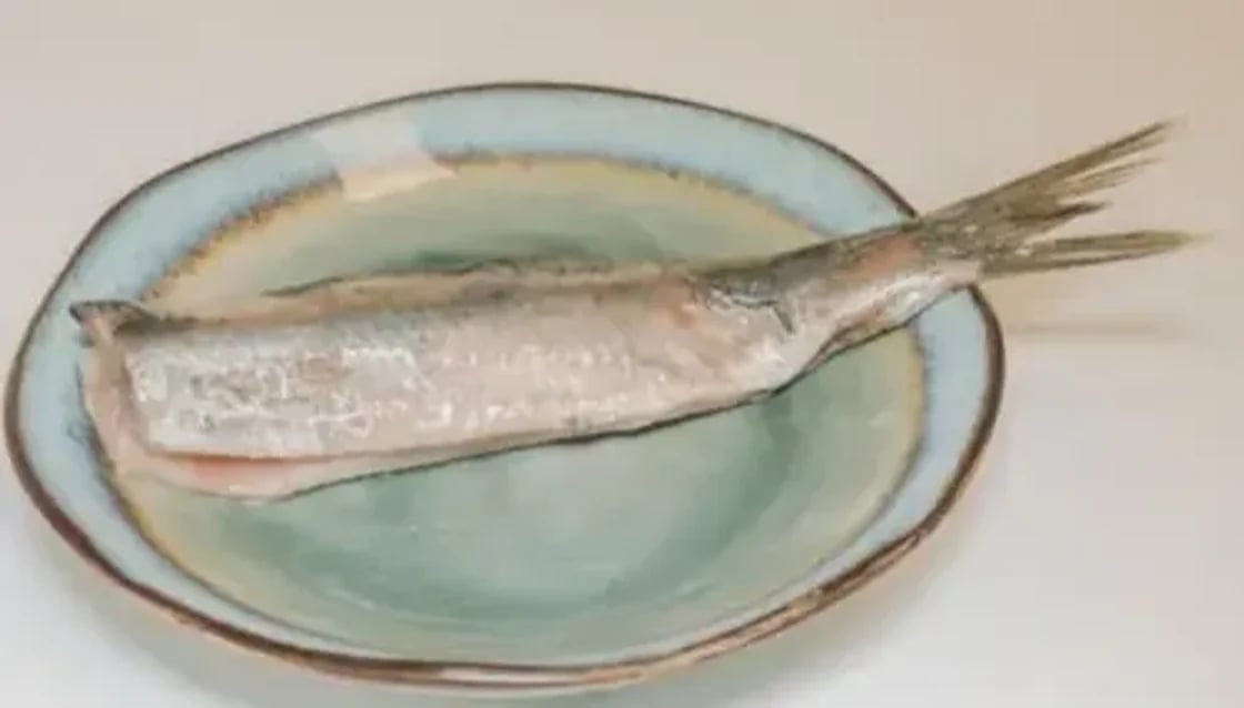 Hollandse nieuwe haring 4x