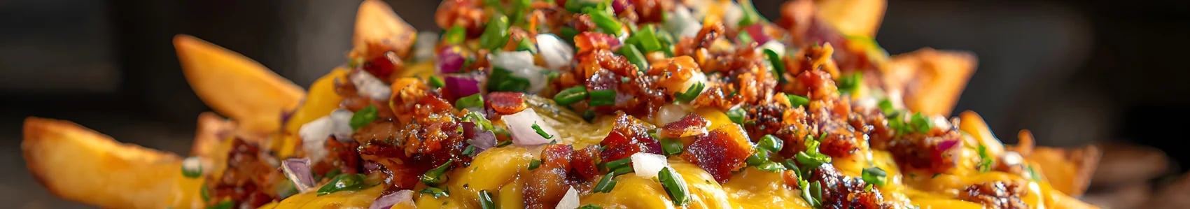 Loaded fries