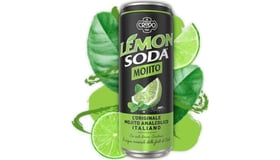 Lemon soda mojito