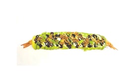 SOFT SHELL EBI (8 stuks)