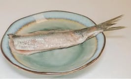 Hollandse nieuwe haring