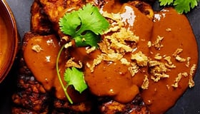 Sate v/d haas speciaal schotel