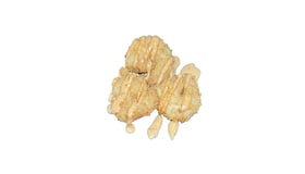 76. Panko Ebi 8 stuks