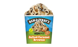 Ben & Jerry's Non-Dairy Salted Caramel Brownie Non-Dairy 465ml