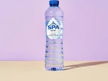 Spa Blauw 500ml