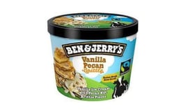 Ben & Jerry's vanilla Pecan Brittle