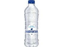 Chaudfontaine Natuurlijk Mineraalwater 500 ml